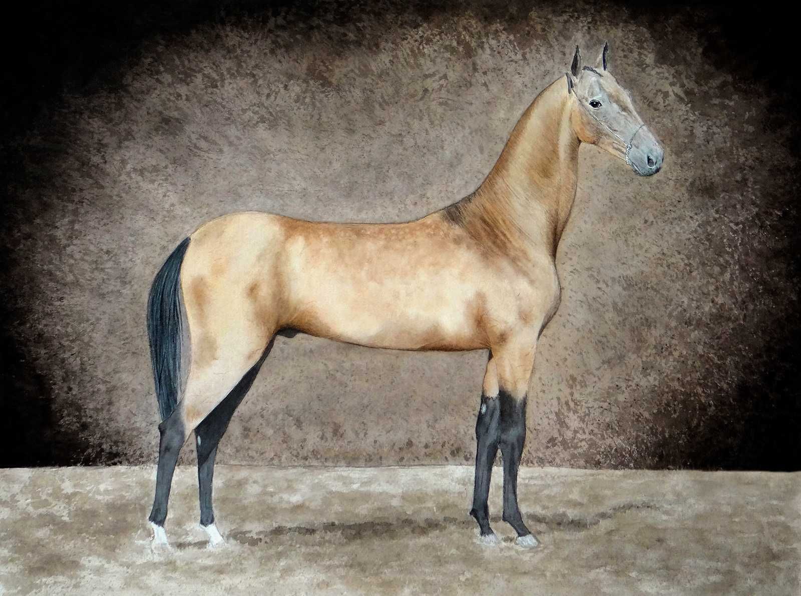 Картина акварелью конь
