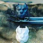 Ghiul Inel masiv argint 925 Pitbull Amstaff