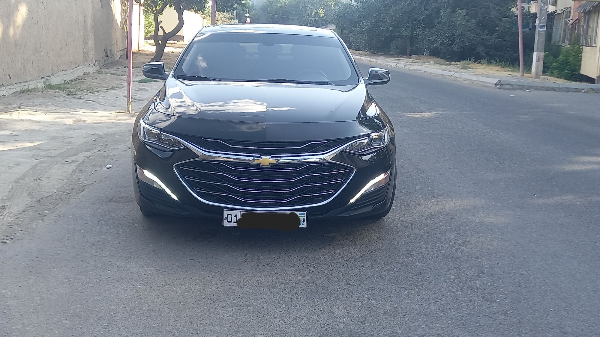 Malibu 2 premier