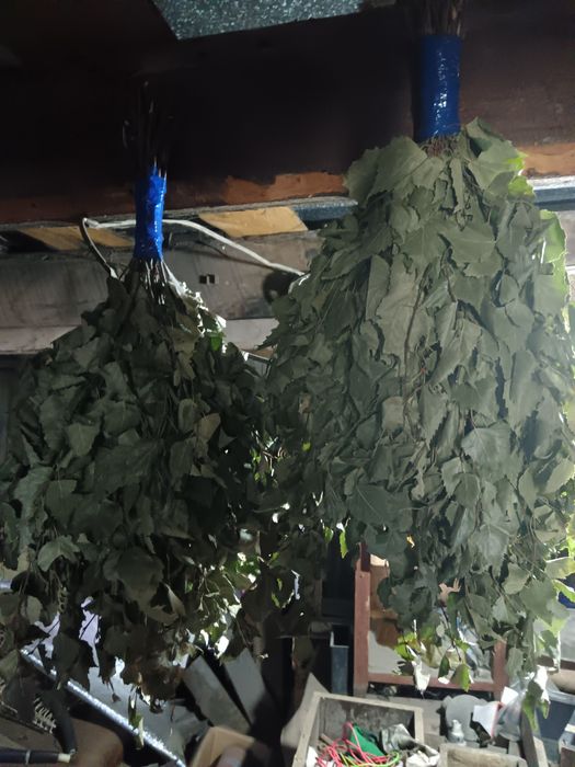 Продам веники берёзовые