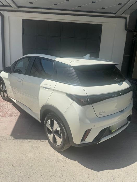 BYD Delphine  elektro kar дельфин