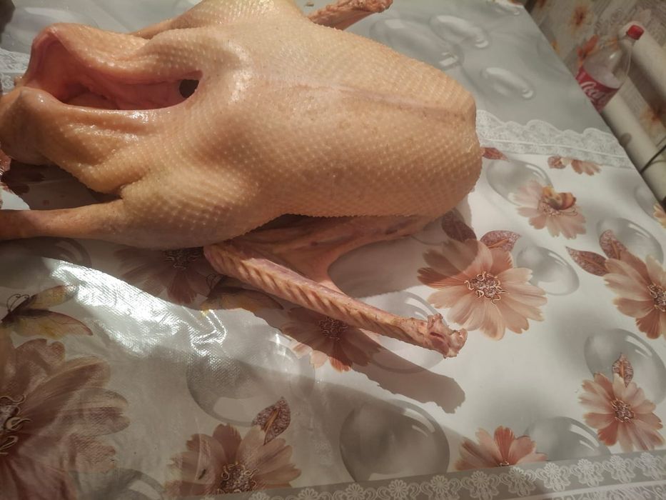 Масо утки домашние