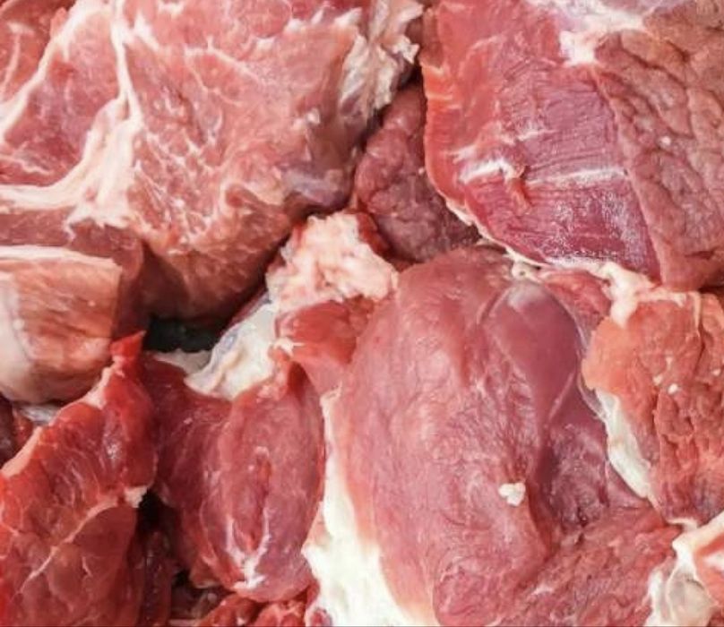 Продажа согым, мясо, обрез собакам, бесплатные кости