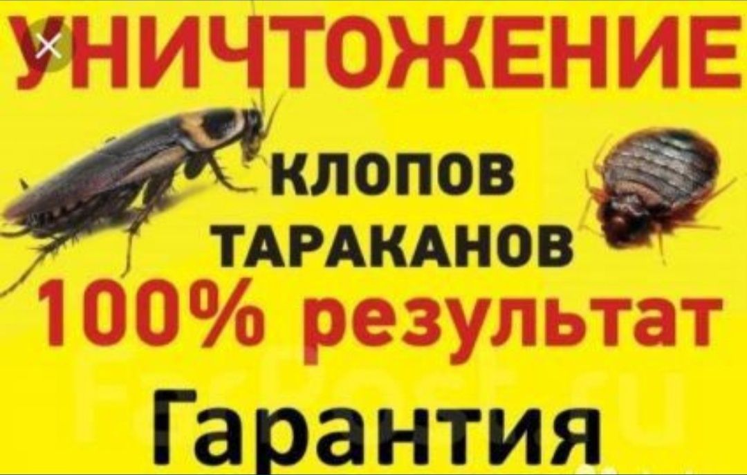 Дезинфекция от клопов и тараканов и других вредителей 100% гарантия