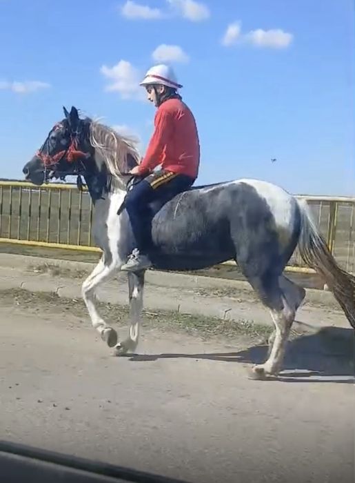 Iapa de vanzare 2 ani