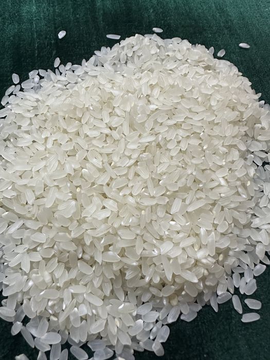 Oliy navli alanga guruchi