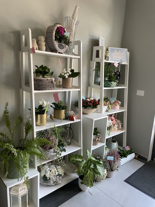 Vand afacere florarie