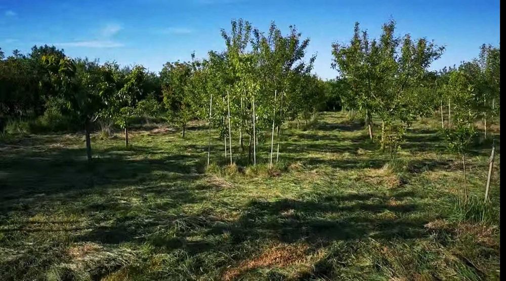 Vând teren cu casa în CF Ianova