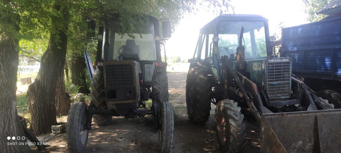 Трактор мтз 80 беларус