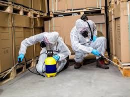 Дезинфекция Дезинсекция Дератизация Dezinfeksiya