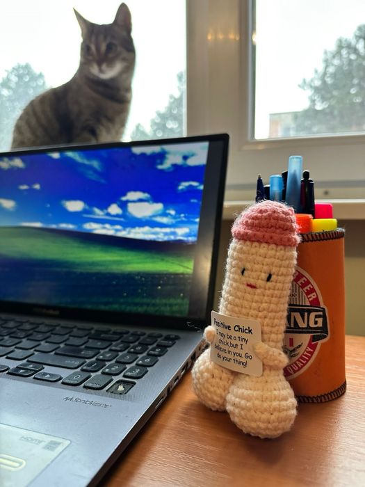 Papusa crosetata 'Positive chick'