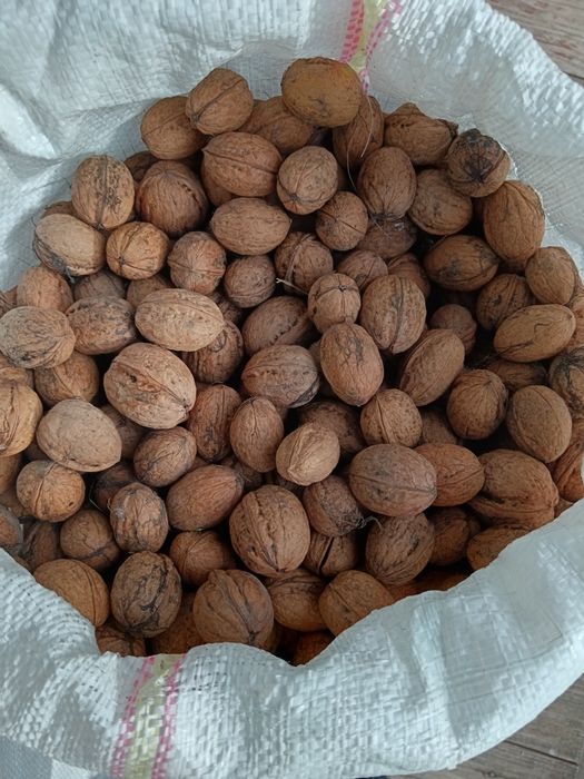 Miez nuca și nuci în coaja