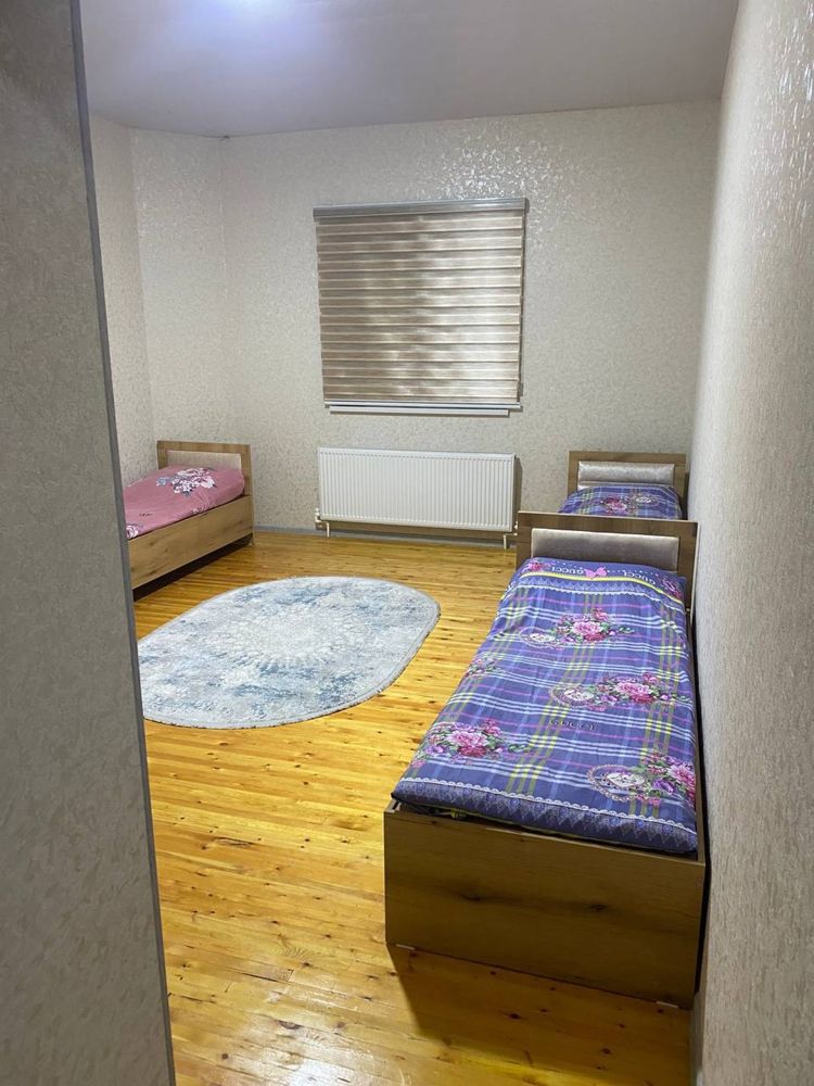 Hostel . Xalol insonlar uchun faqat!
