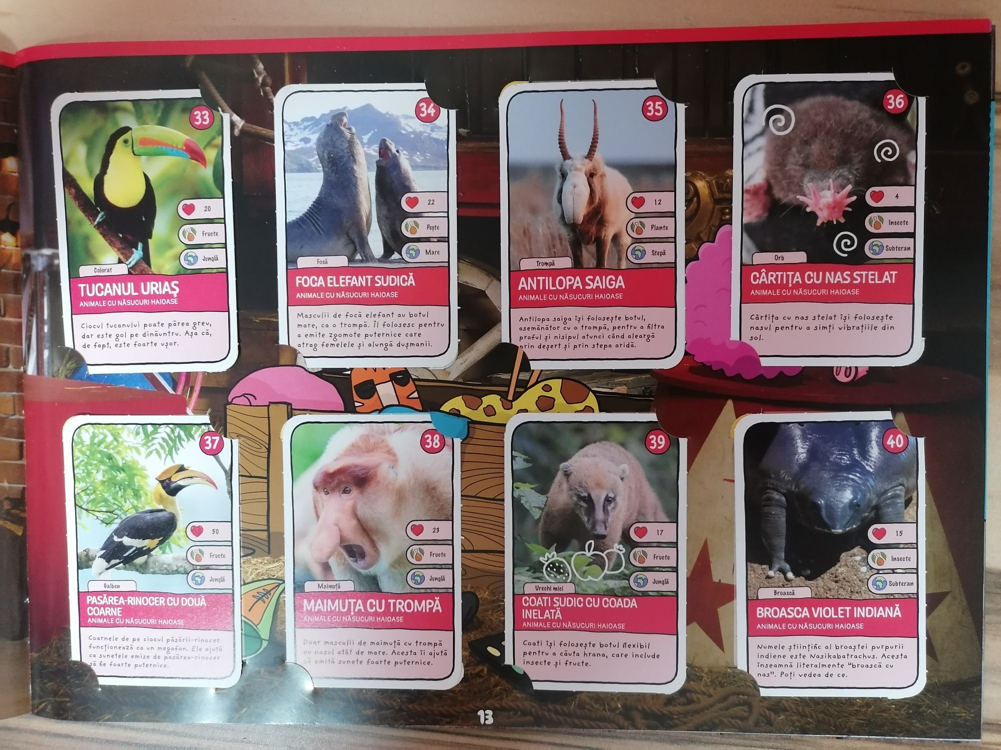 Album Expeditie 2 cu 96 cartonase + 96 cartonase Editia 1 + Boxa zoo