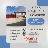 De vânzare casă familială în Homorod