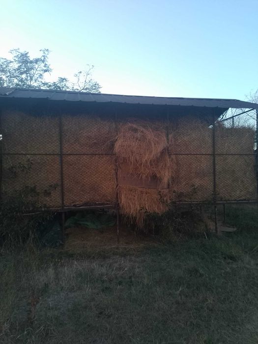 Vând fan pentru animale