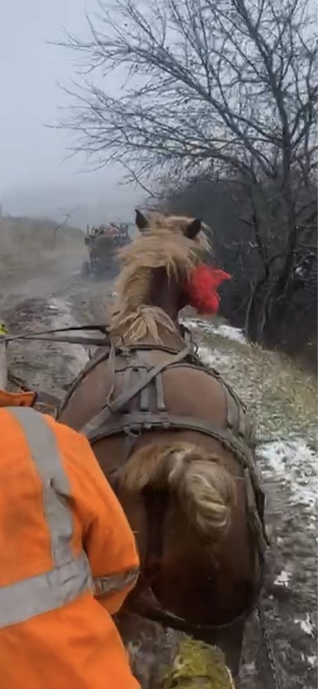 Vand iapa de 5 ani cu acte si manz si remontata