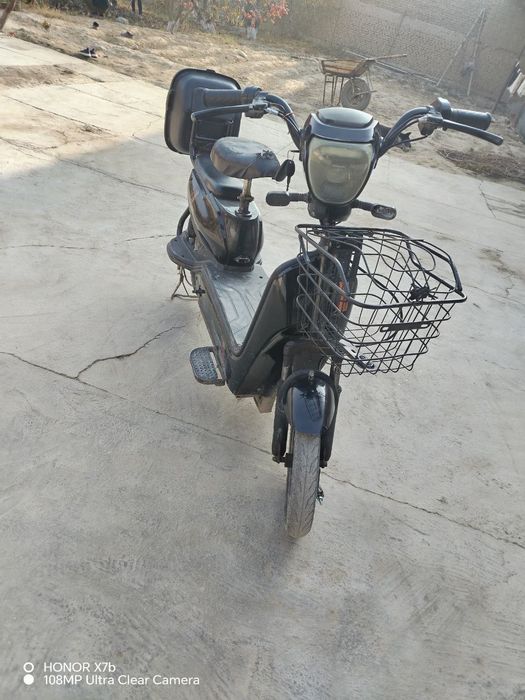 Skuter oʻrtacha holda