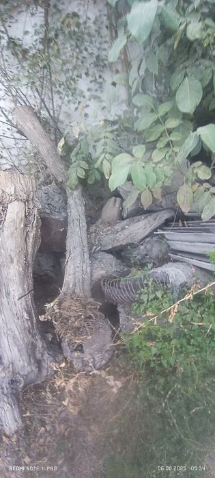 Utin g'ula kop qismi maydalangan tayyor, 1 isuzu, narxo 5 mln