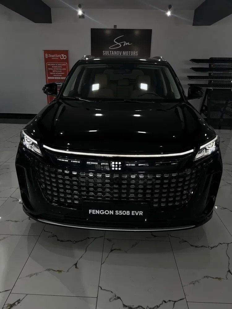 Dongfeng Fengon S508 EVR