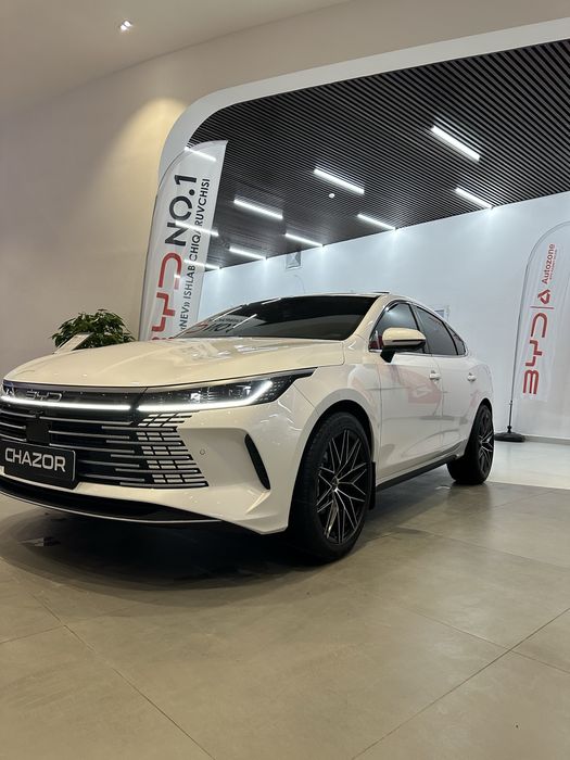 BYD Chazor 120 km Flagship