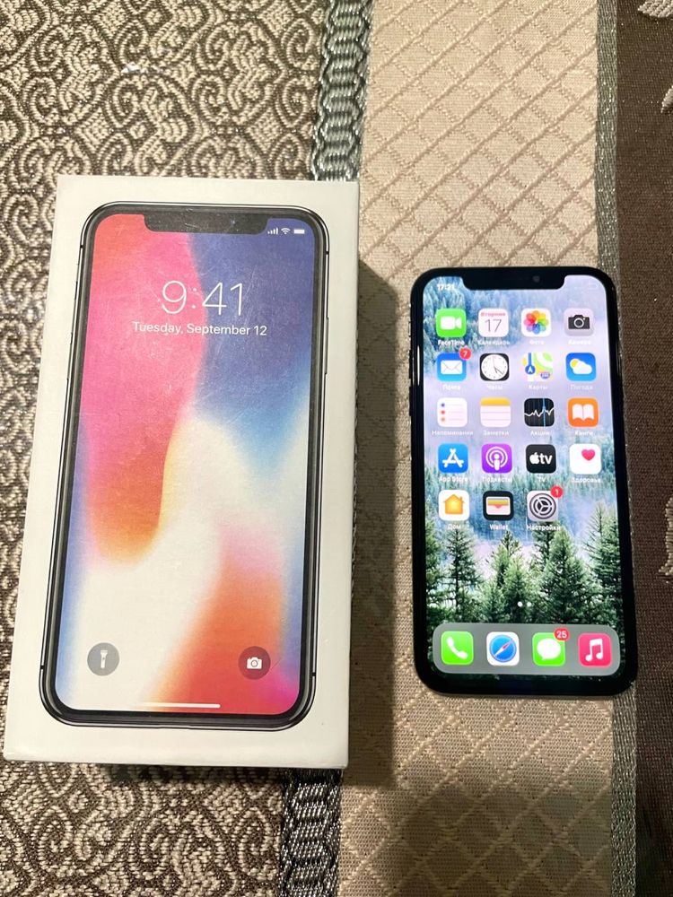 Iphone X 256 talik