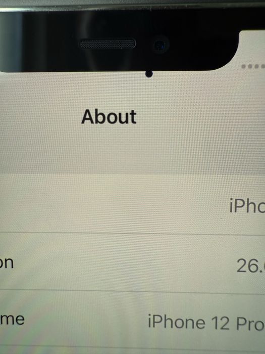 iPhone 12 Pro Max 256GB