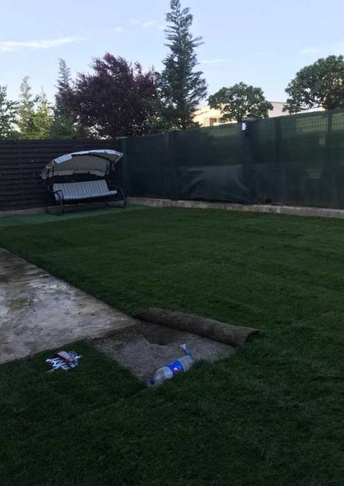 Gazon Rulou Sport / Premium