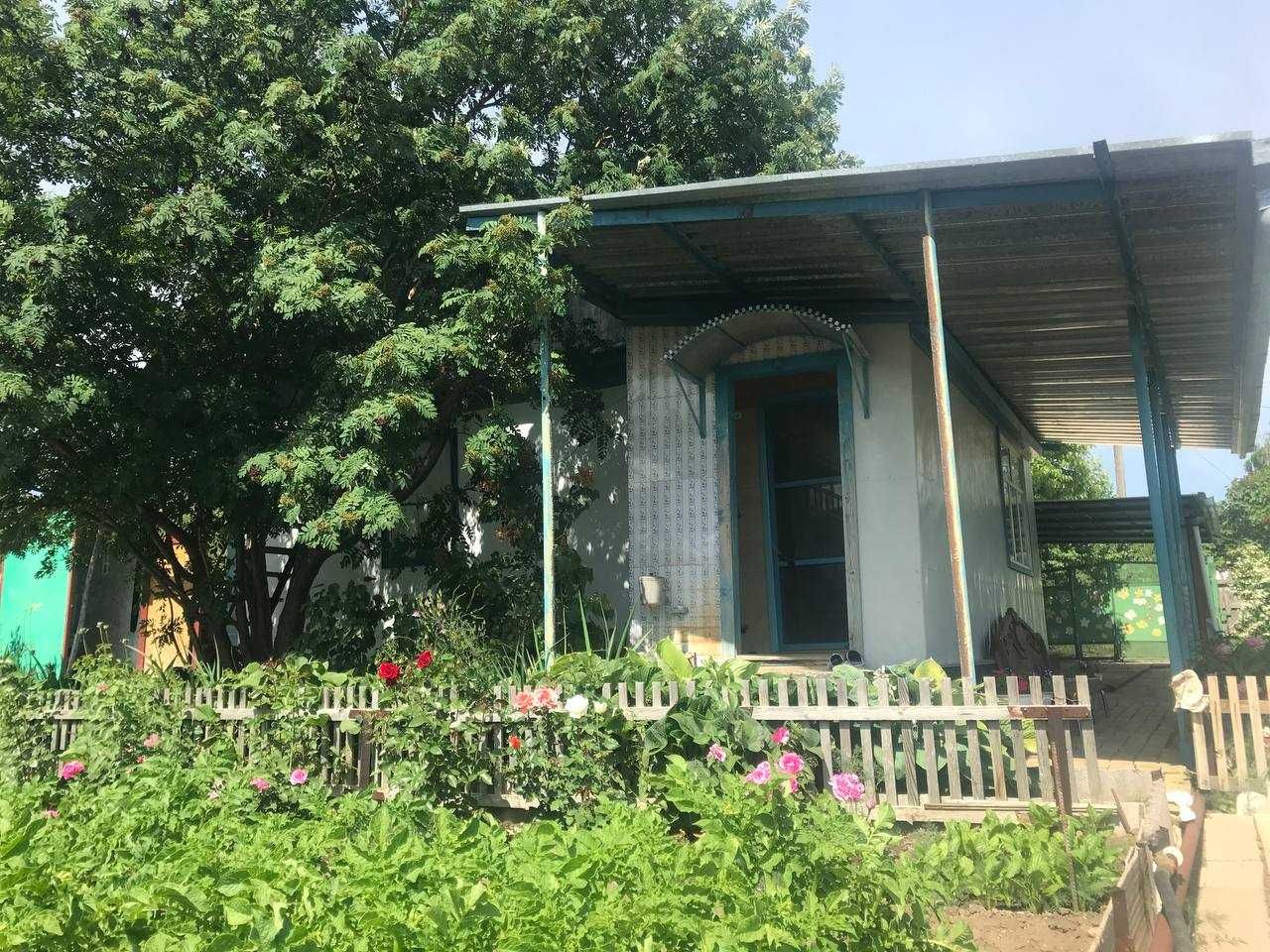 Продается дача в СПП - Металлург с урожаем