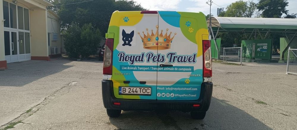 Transport autorizat A.N.S.V.S.A animale de companie Romania-Portugalia