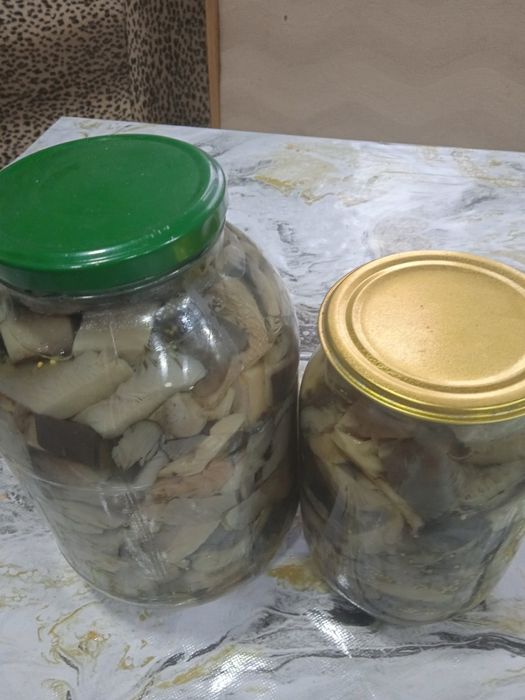 Продам маринованные вешенки!