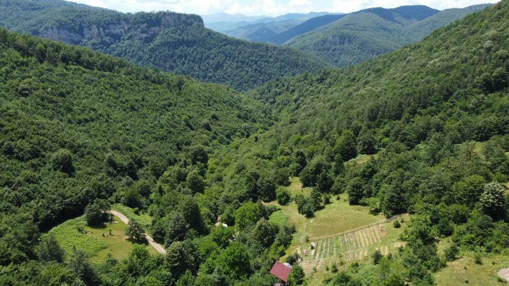 Продава се екологичен проект от 12 710 кв. м. с две нови дървени къщи.