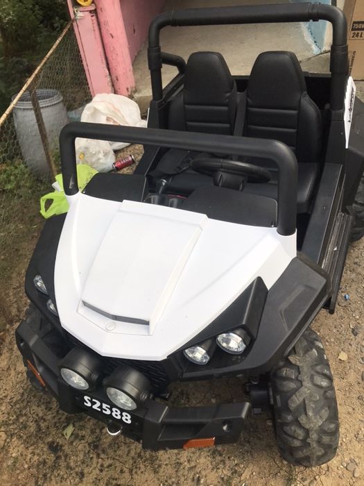 Buggy S2588.        ?!