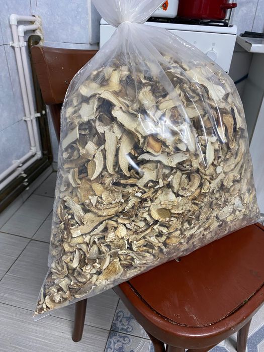 Vand hribi Uscati de toamna