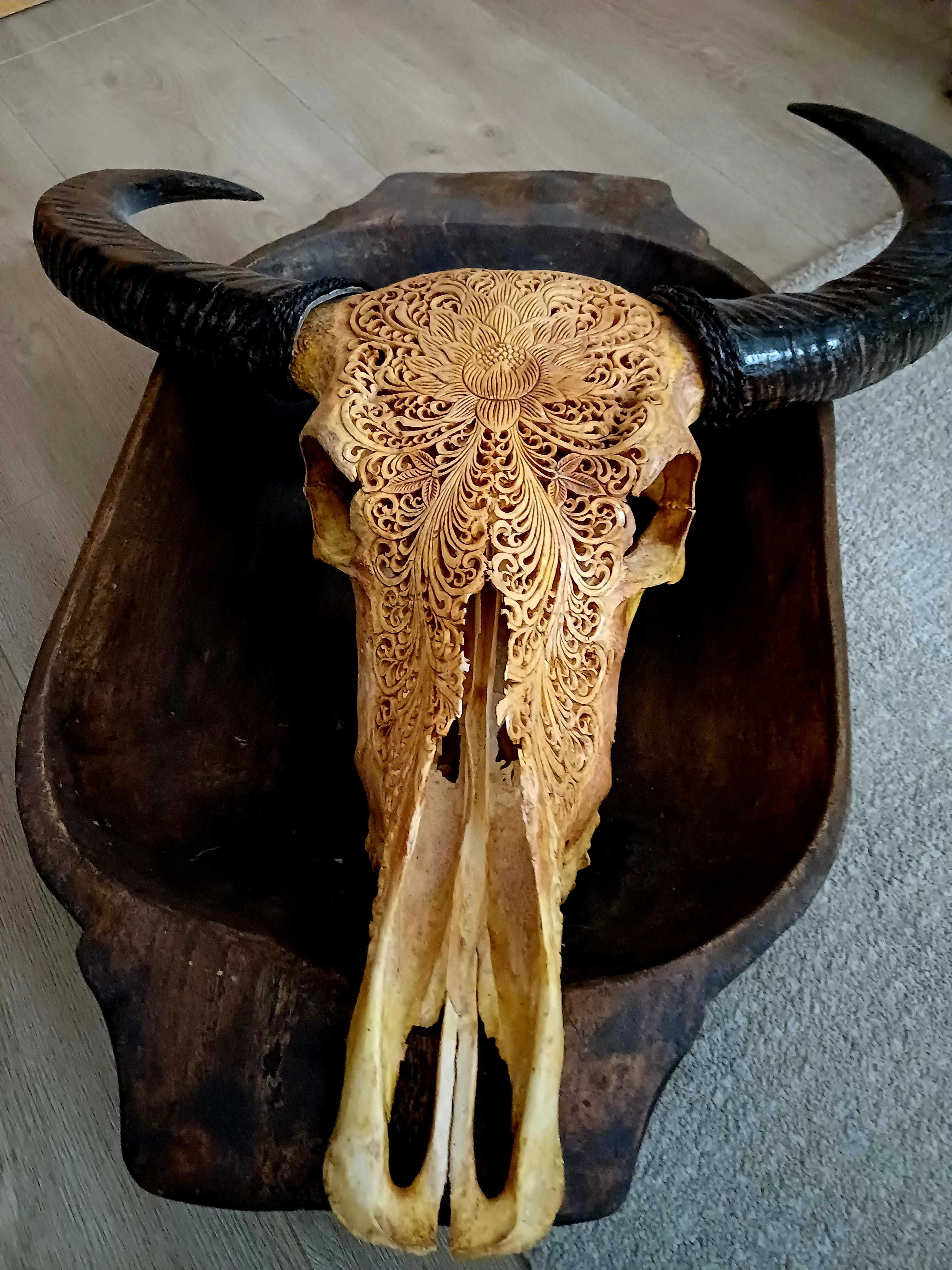 craniu de bivol cu coarne. decor de perete sculptat manual ,mandala.