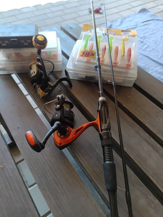 Combo spinning știucă salau
