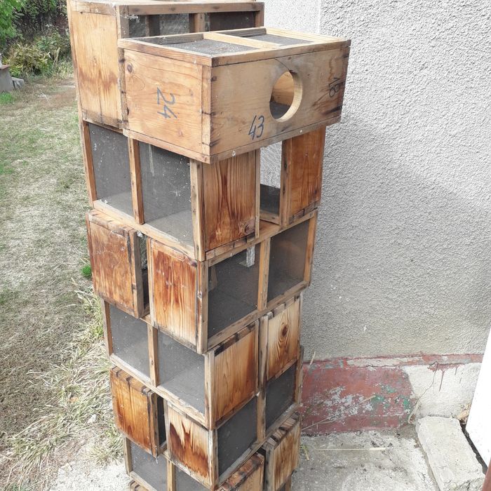Cutii pentru roiuri la pachet