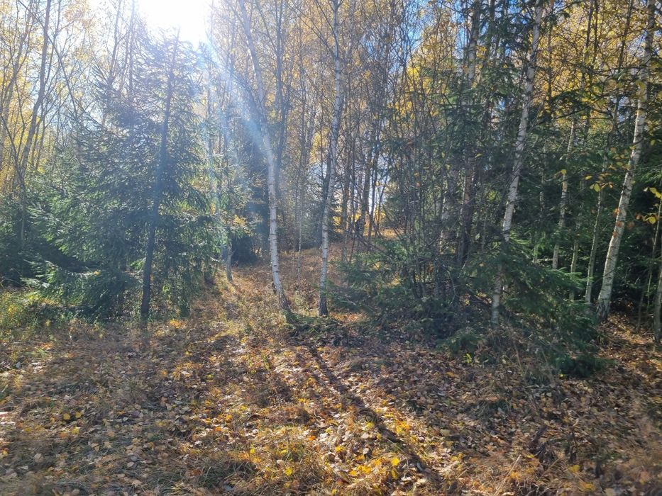 De vânzare teren  in Râșca