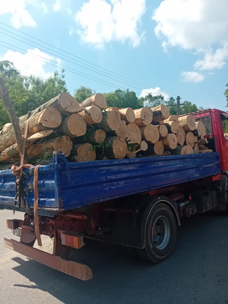 Ducem La comanda Lemne de foc de esența tare Cer.carpan.fag.gârnită.