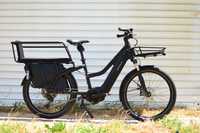Riese&Müller Multicharger Mixte GT touring 750