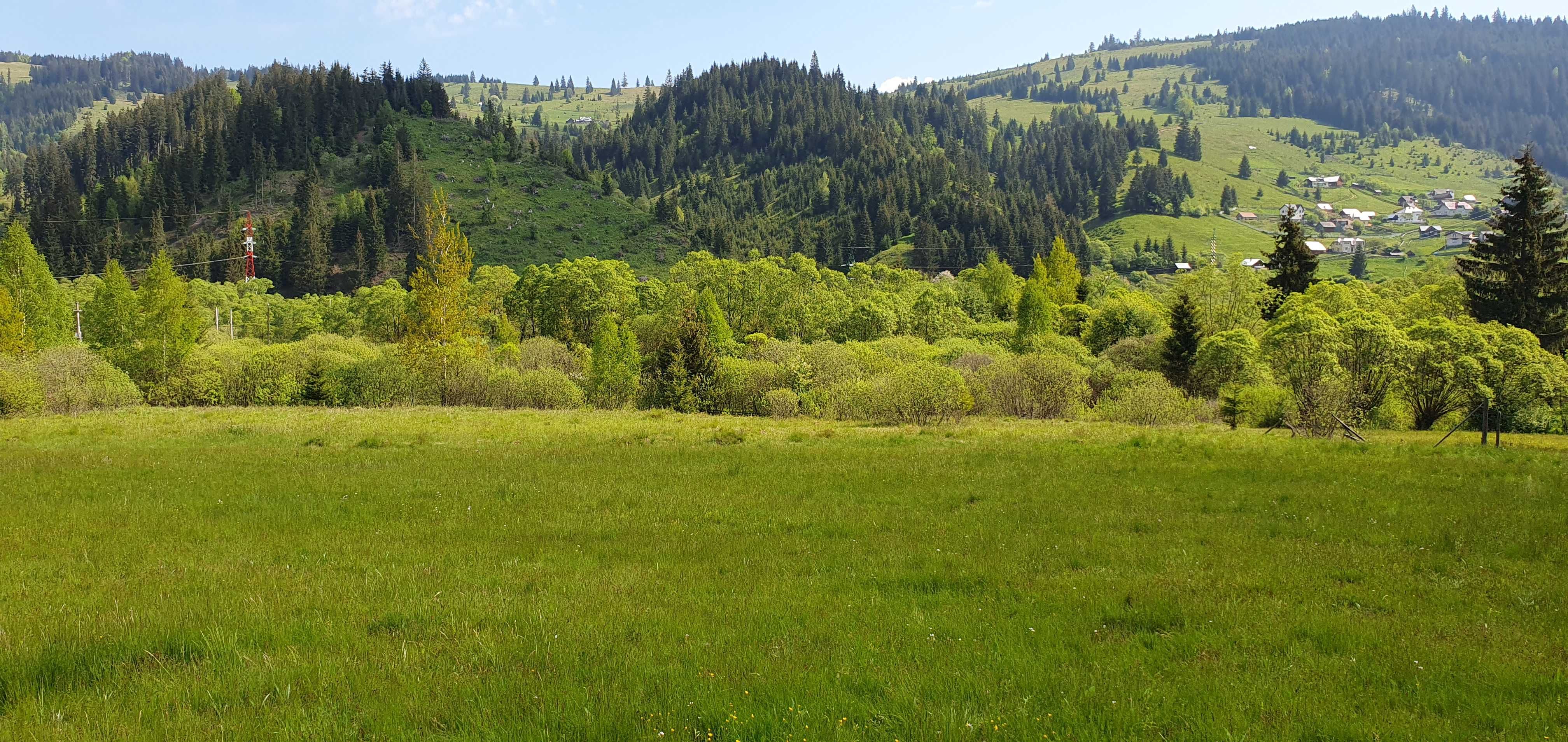 Teren intravilan Vatra-Dornei