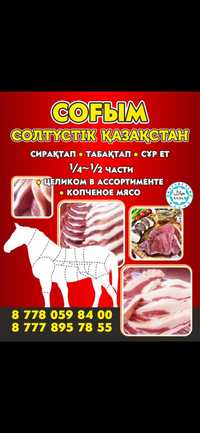 Мясо конины СКО Қызылжар
