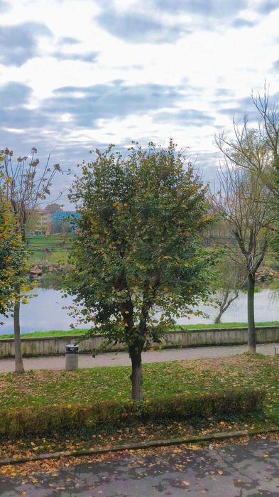 De inchiriat Apartament 4 camere, 2 bai, 2 balcoane pe Malul Timisului