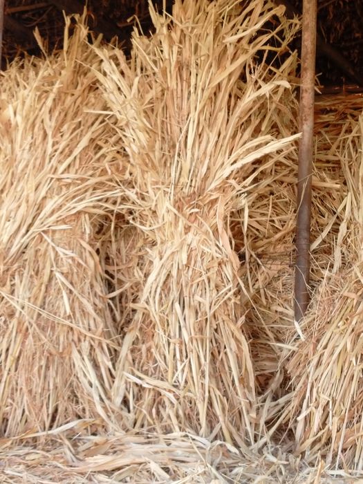 Mollar uchun sifatli barra boĝlik poya va poya preslar