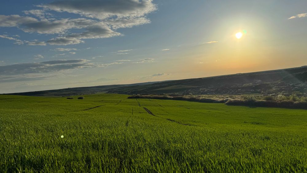 Teren de vânzare în Stanciova, județul Timiș – poziție panoramică