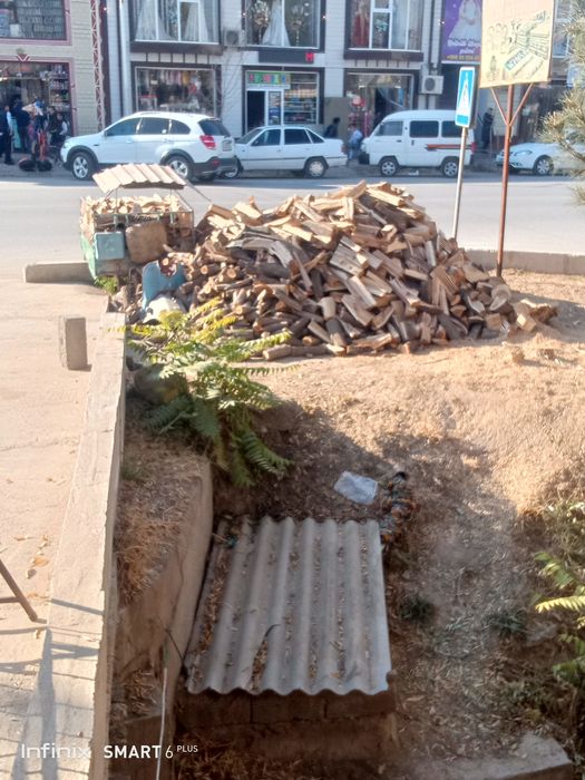 Бир мелон Бир муравей. Доставка бар