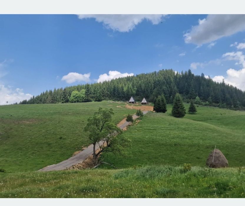 Cabana zona Sinaia Brasov Liber Revelion