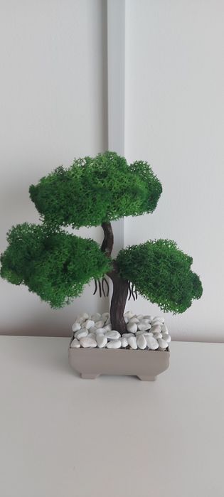 Bonsai din licheni