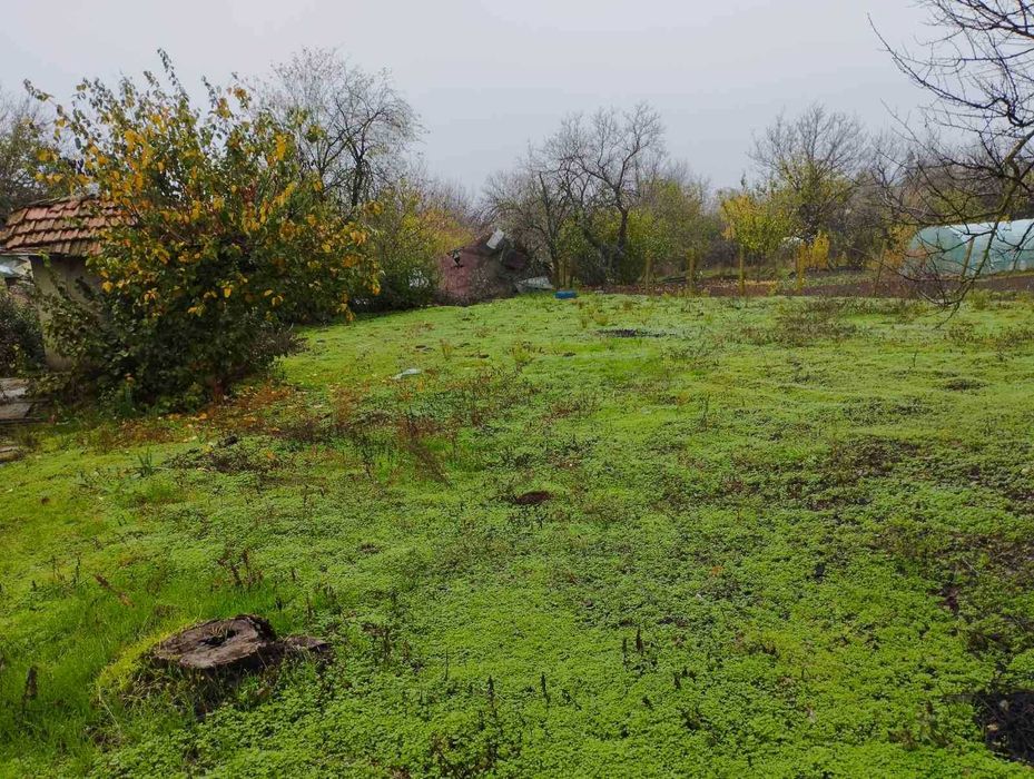 Продава се Къща в с. Сребърна, Област Силистра - 250 кв.м за 92 €/кв.м - Снимка #5