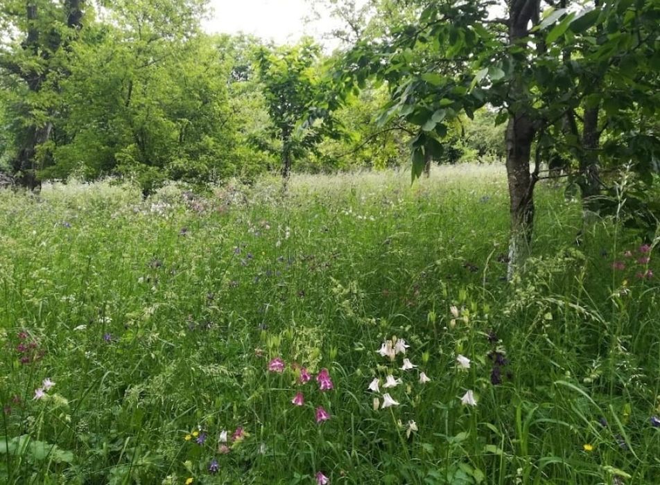 Teren Piatra Neamt 1357 mp